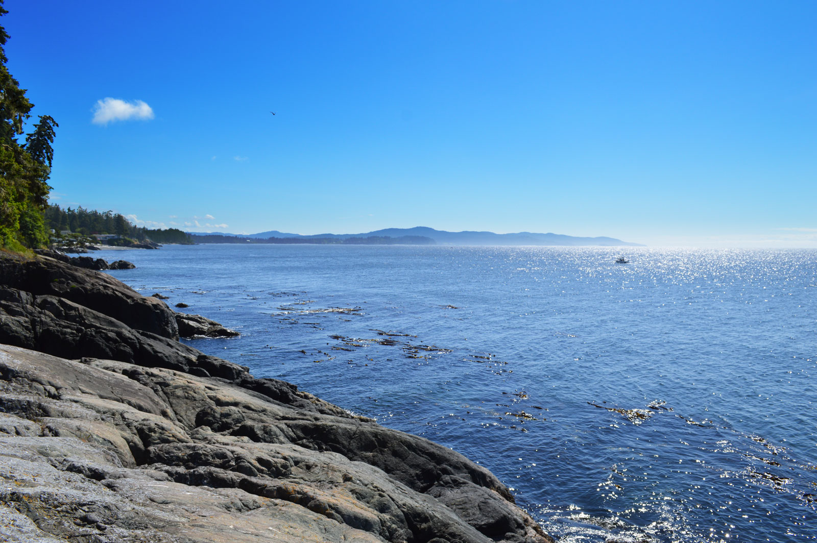 Otter Point House Island Vacation Homes
